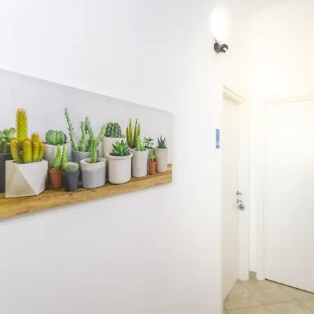 Isola Felice Silvi Paese